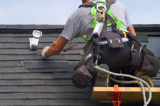 Best Roof Restoration Services  in Almont, MI
