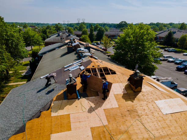Best Roof Repair Services  in Almont, MI