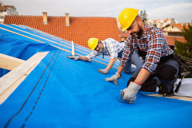Best Roof Restoration Services  in Almont, MI