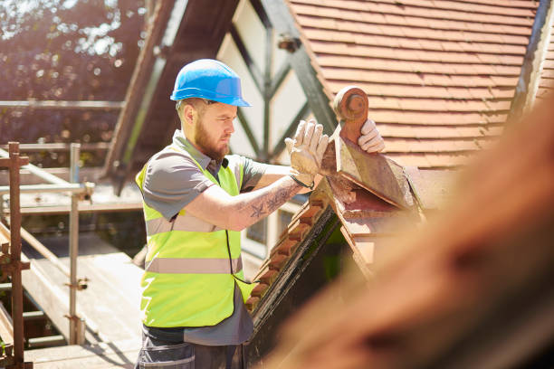 Best Storm Damage Roof Repair  in Almont, MI