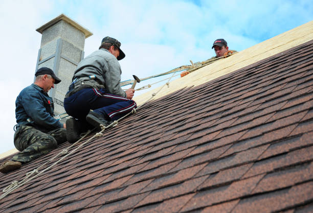 Best Affordable Roofing Company  in Almont, MI